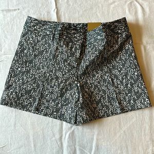 Size 2 Express shorts